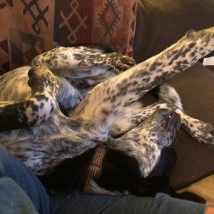 Meet your Posher, Jamie